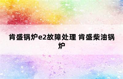 肯盛锅炉e2故障处理 肯盛柴油锅炉